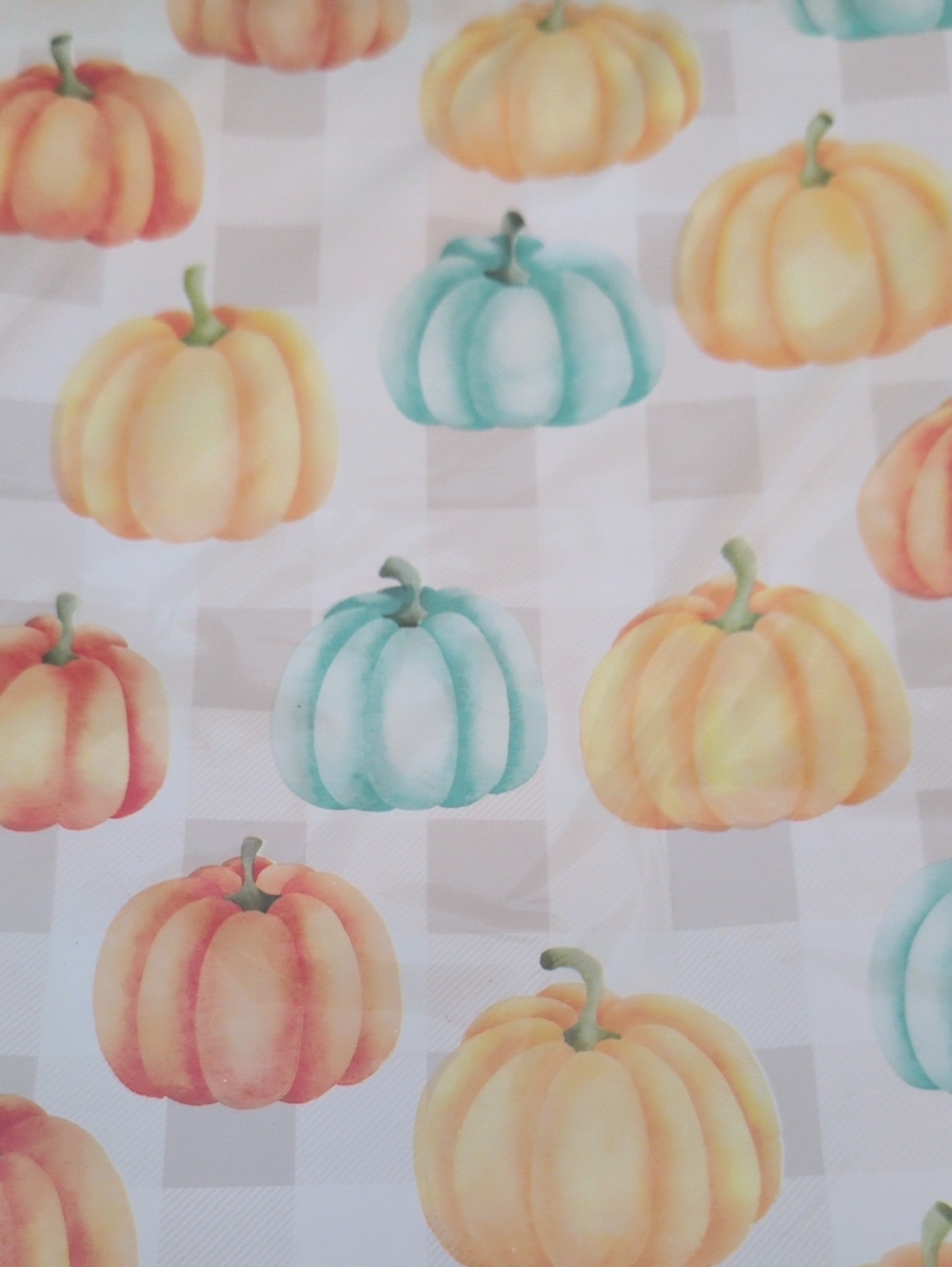 25 10 X 13 Pumpkins Polymailers